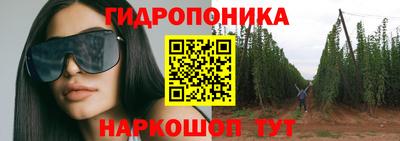 стаф Обь