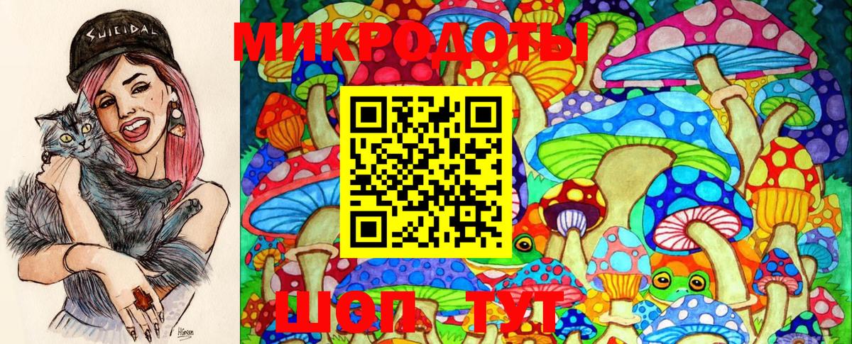 Псилоцибиновые грибы Cubensis Первоуральск